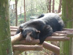 South Lakes Wildlife Park, Dalton in Furness