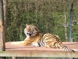South Lakes Wildlife Park, Dalton in Furness
