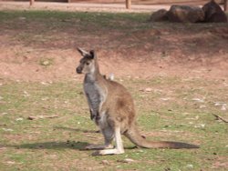 South Lakes Wildlife Park, Dalton in Furness