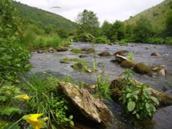 A view looking back up the River Wye on the Monsal Dale - Peak District Wallpaper