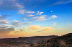 Cannock Chase Country Park, Staffordshire Wallpaper
