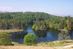 Tarn Hows, Coniston, Cumbria Wallpaper