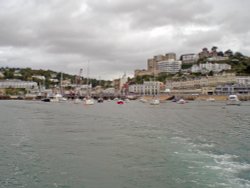 Torquay Harbour, Devon Wallpaper