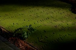 Kingsbury, Warwickshire Wallpaper