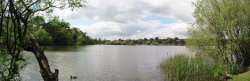 Petersfield Heath, Petersfield, Hampshire