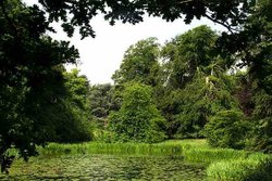 Blenheim Lake King Pool Wallpaper