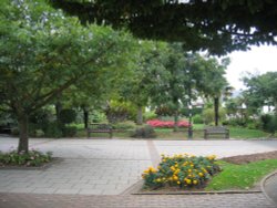 Gardens at Dartmouth, Devon Wallpaper