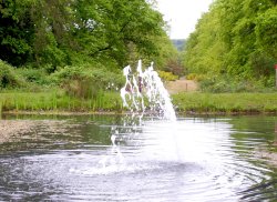 Brandon Park ornamental lake Wallpaper