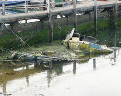 Reflections, Bembridge, Isle of Wight