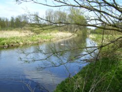 River Ouse Wallpaper