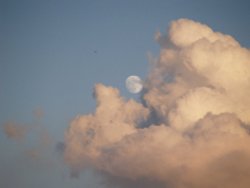 Evening sky with moon, the Bernwood, Botolph Claydon, Bucks Wallpaper