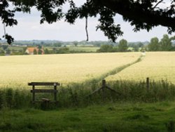 View north from near the churchyard, Steeple Claydon, Bucks. Wallpaper