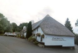 Dartington, Devon Wallpaper