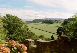 Dunster Castle & Garden, Somerset