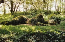 Foliage Sculpture, Lost Gardens of Heligan, Mevagissey, Cornwall
