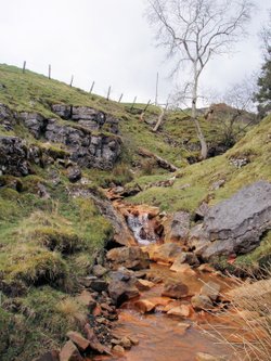 Spring flowing from the hillside in Teesdale, County Durham