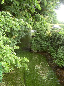 The Stream, Nether Langwith, Derbyshire