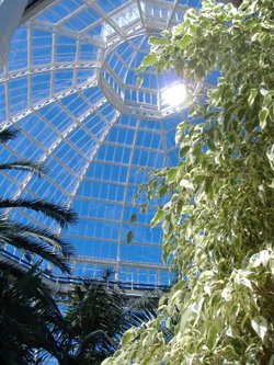 Sefton Park Palm House