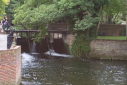 Millers Field, Canterbury, Kent Wallpaper