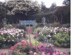 Fan Rose Garden at Kelmarsh Hall & Gardens