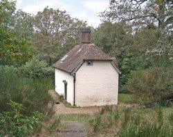 Clouds Hill Cottage (National Trust) Wallpaper