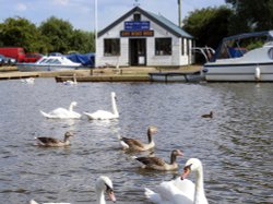 Potter Heigham, Norfolk Wallpaper