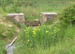 Poulter Country Park, Nether Langwith, Derbyshire
