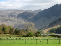 Hay Stacks, Borrowdale, Cumbria