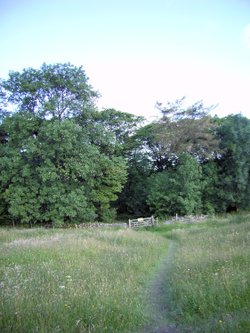 Walking down to Grin Low Wood from Solomon's Temple