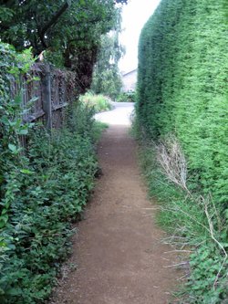 C.S. Lewis Reserve