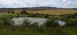 Stockley Trail