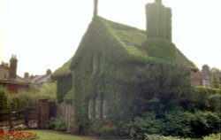 Park House Wallpaper