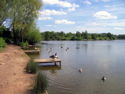 Arrow Valley Lake, Redditch, Worcestershire Wallpaper