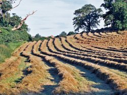 Tardebigge, Worcestershire Wallpaper