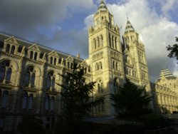 Victoria & Albert Museum Wallpaper