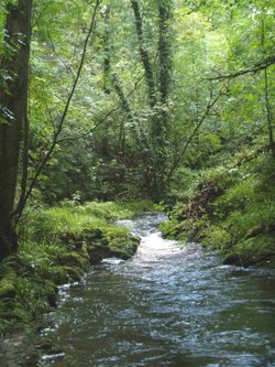 Lydford Gorge, Lydford, Devon