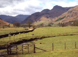 Langdale Pikes
