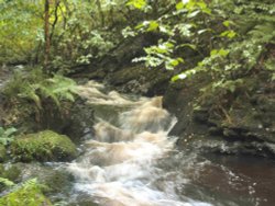 Lydford Gorge, Lydford, Devon Wallpaper