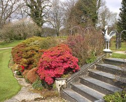 Arlington Court Gardens Wallpaper