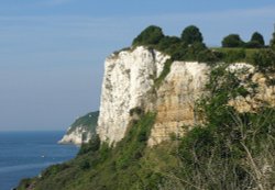 Beer cliffs, Devon Wallpaper