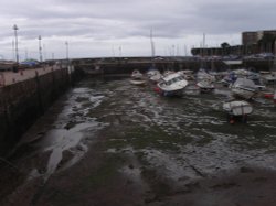 Paignton Harbour, Devon Wallpaper