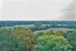 Windsow & Eton Wallpaper