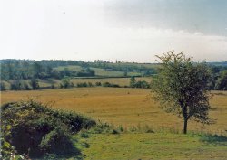 Pictures of Battle