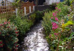 Polperro, Cornwall Wallpaper