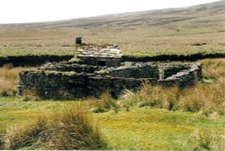 Isolated Sheep Pen Near Birkdale Beck