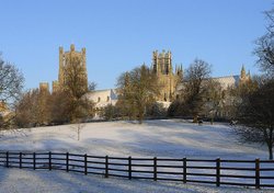 Ely Cathedral from the Park Wallpaper