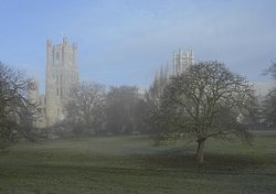 Ely Cathedral from the Park Wallpaper