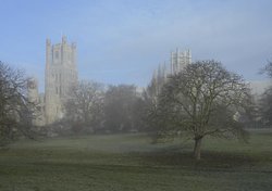 Ely Cathedral from the Park Wallpaper