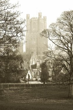 Ely Cathedral from the Park