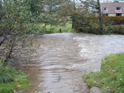 Stepping Stones under water